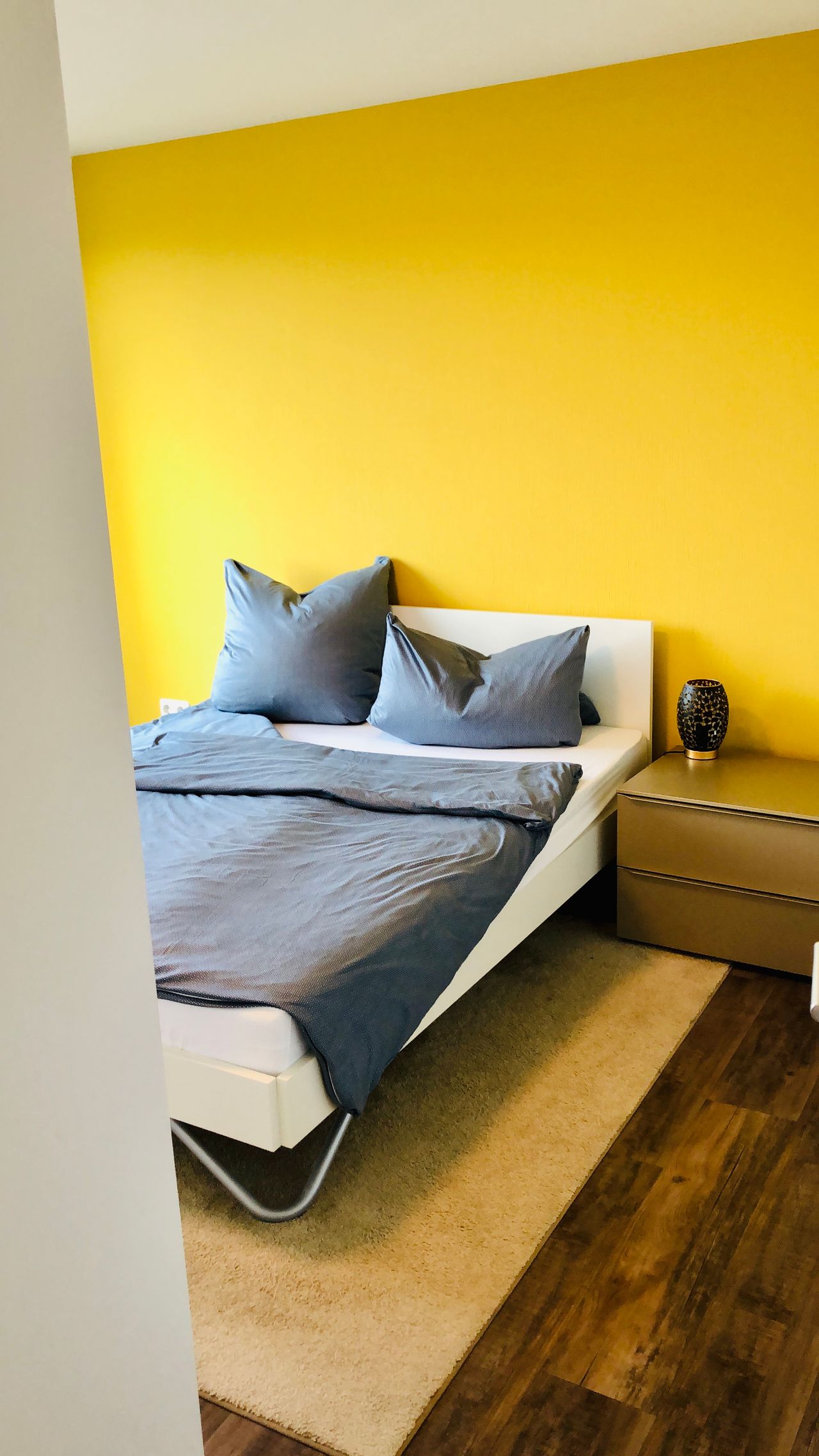 Wohnung Reißigerstraße in Dresden