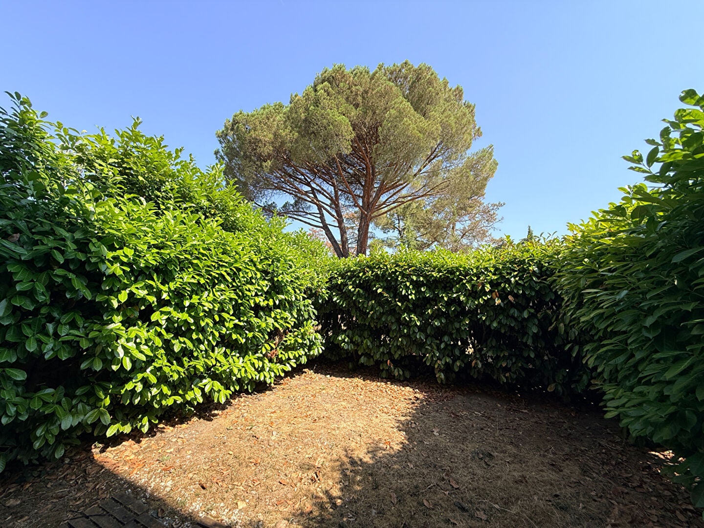 Chambre Chemin du Ramelet Moundi à Toulouse