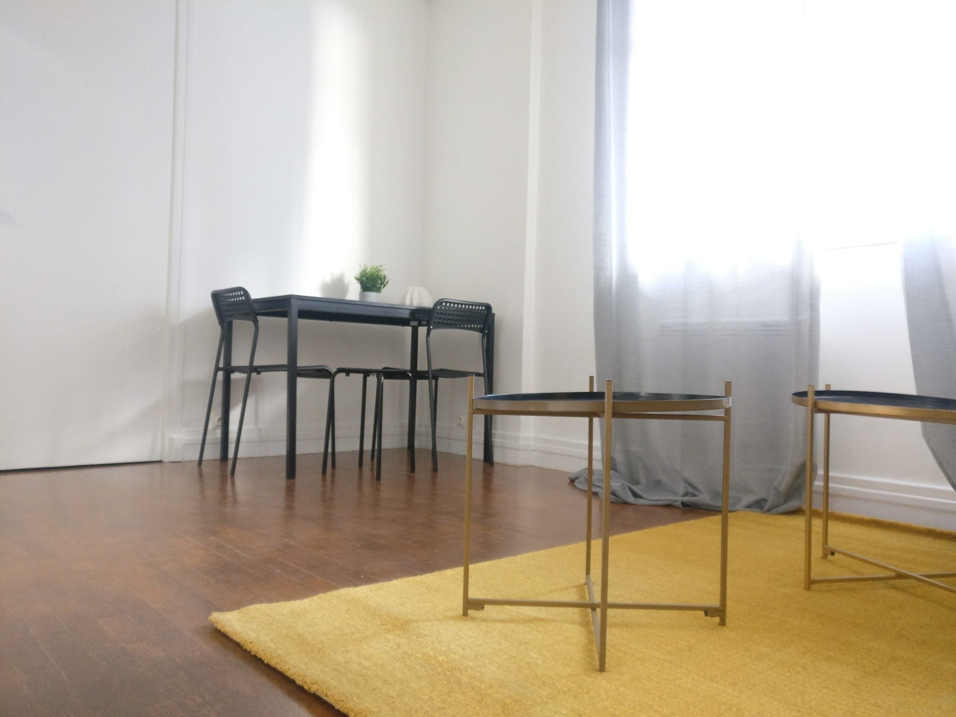 Flat Rue Pierre Loti in Grenoble