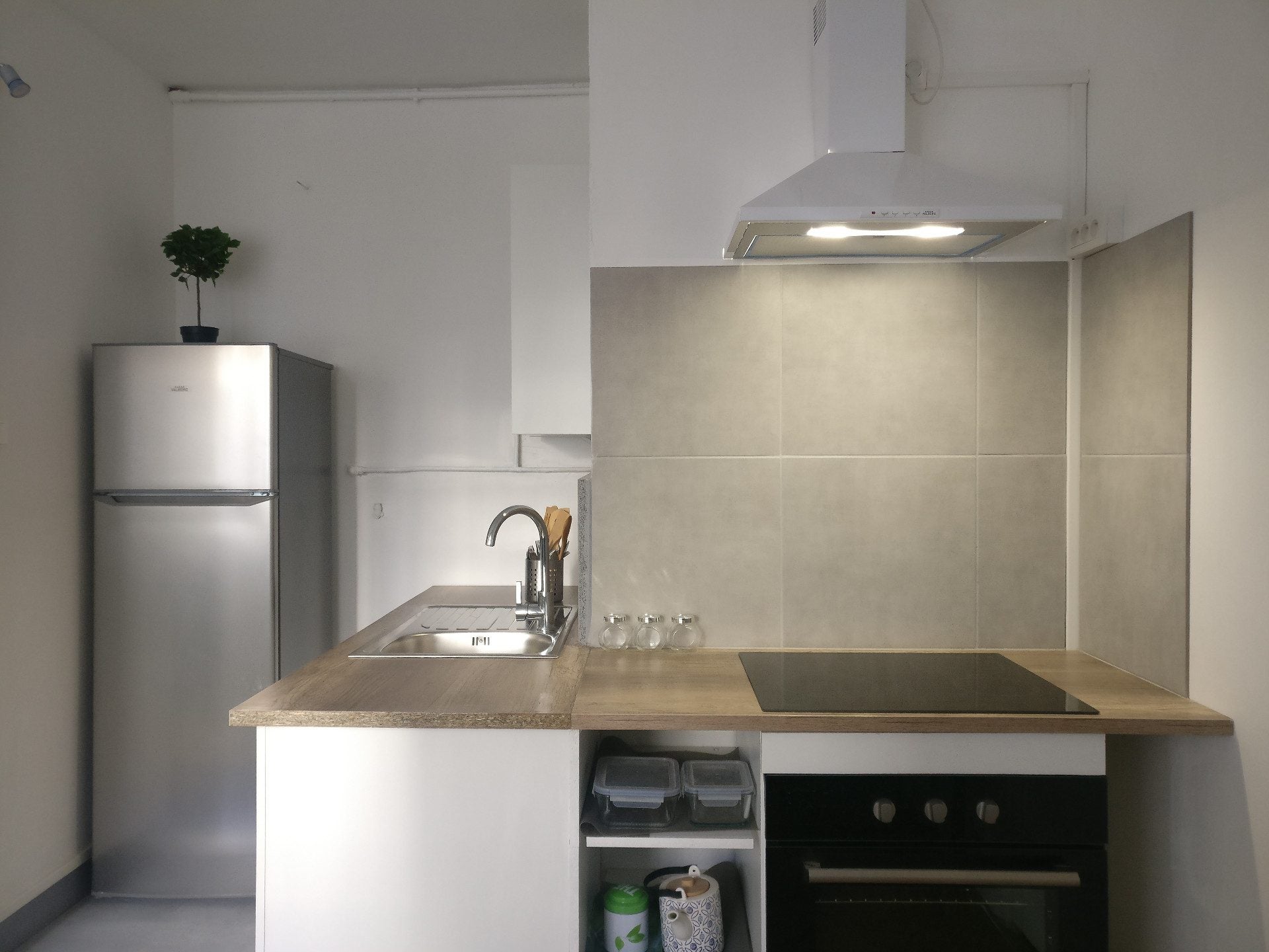 Flat Rue Pierre Loti in Grenoble