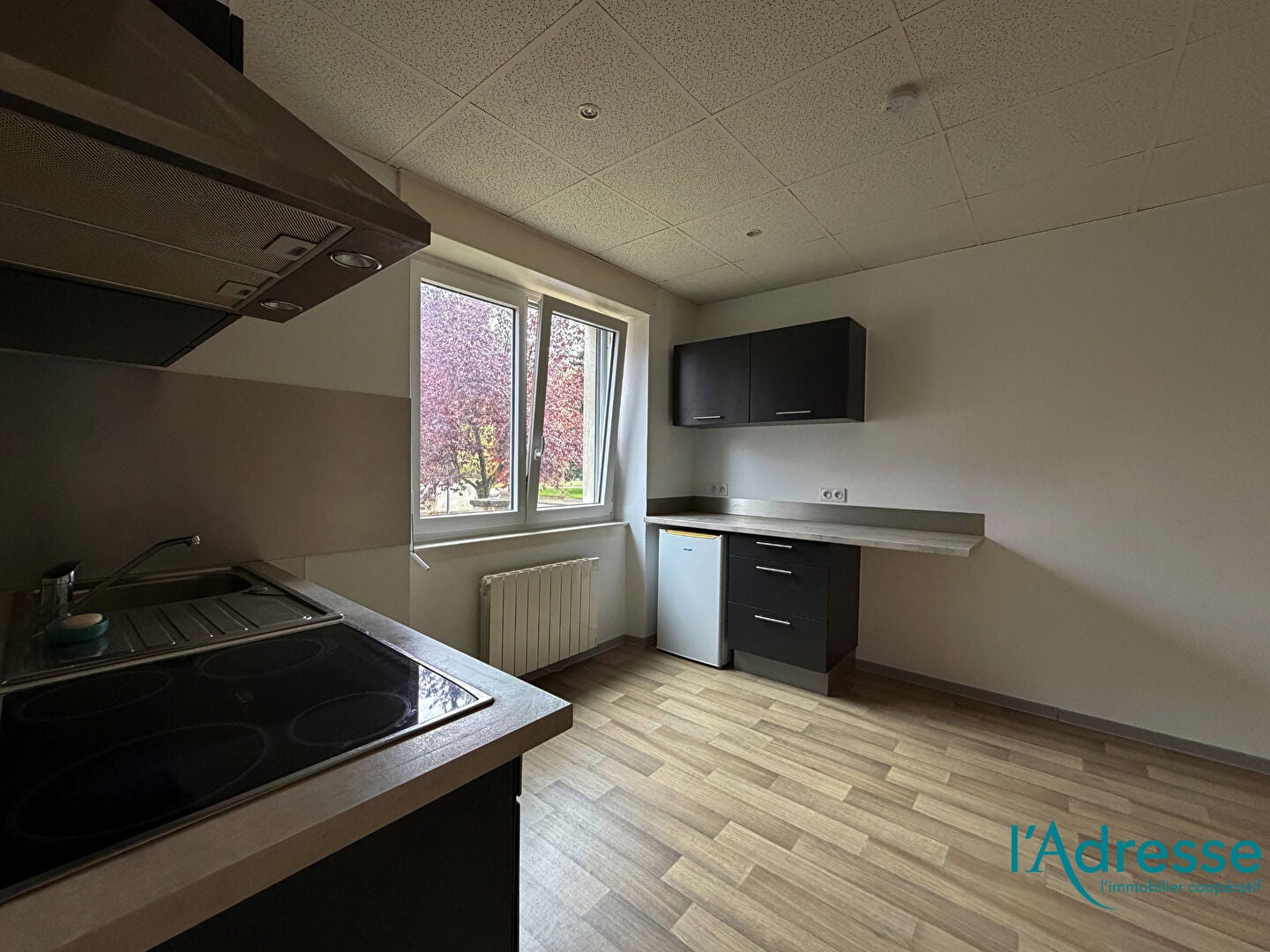 Flat Rue du Ladhof in Colmar