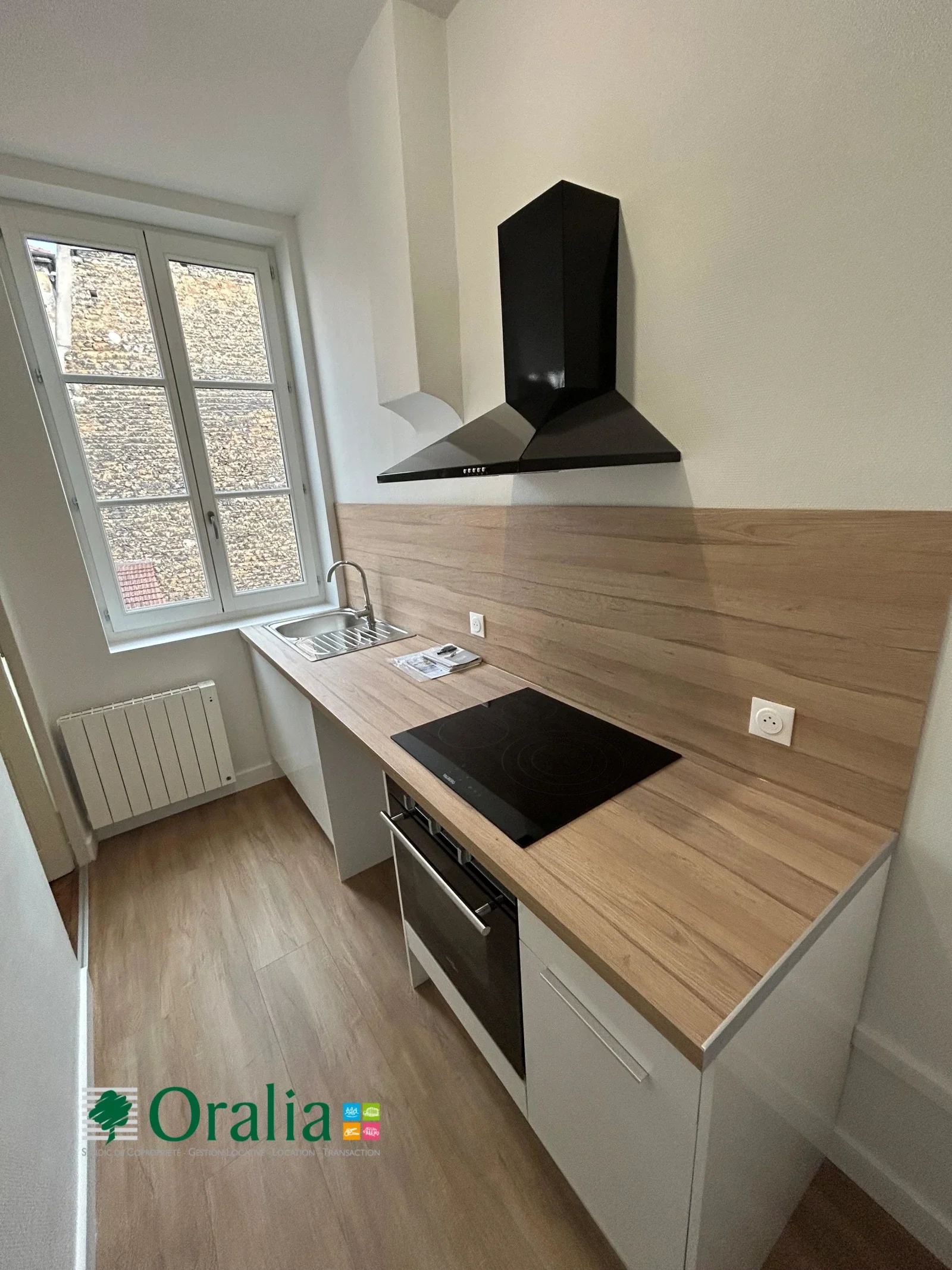 Appartement Rue Gilibert à Lyon