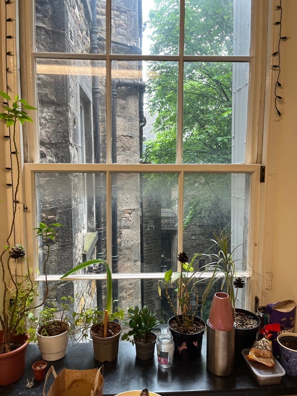 Room Brighton Street in City of Edinburgh