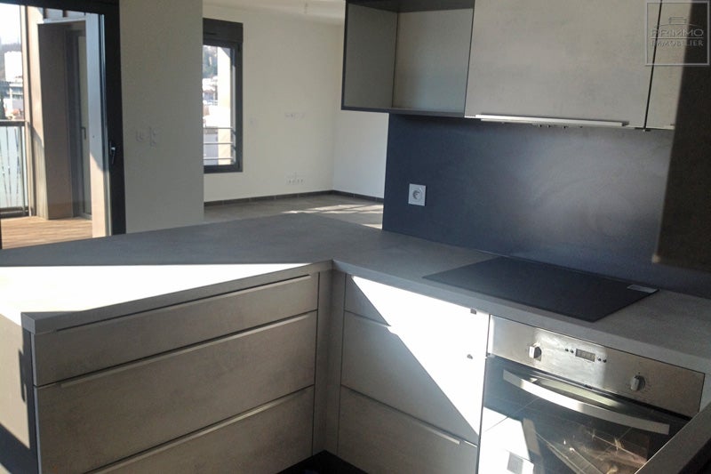 Appartement Rue Félix Mangini à Lyon