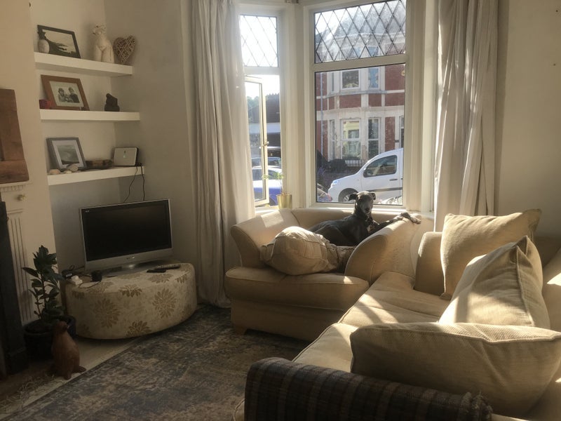 Room Raleigh Road in Bristol