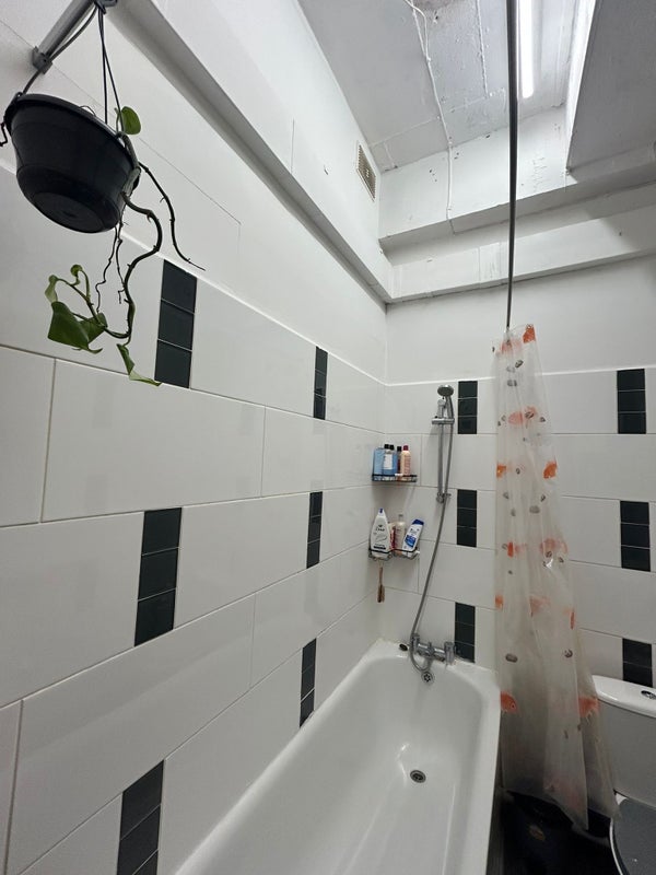 Room Punderson's Gardens in Greater London