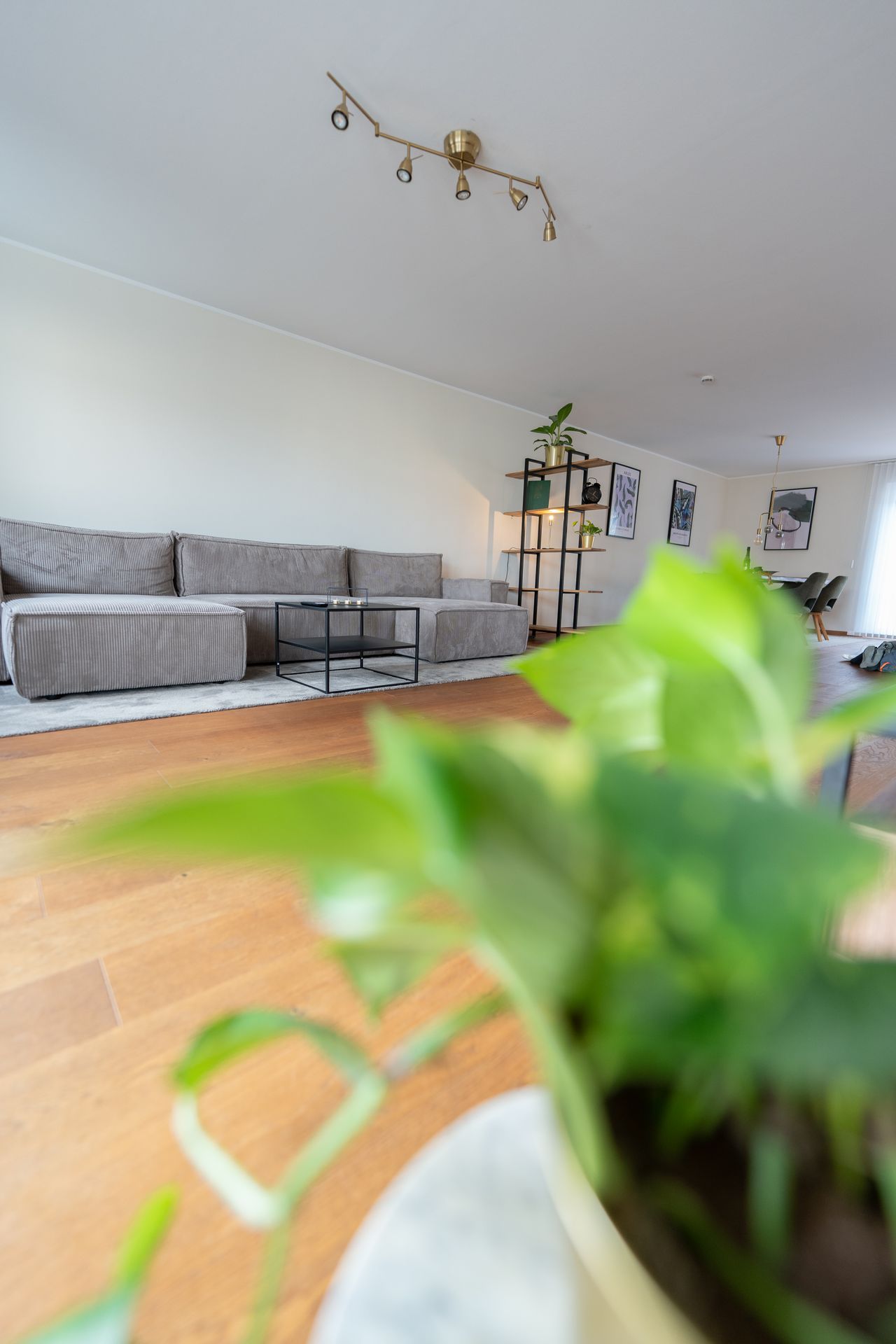 Wohnung Mittelstraße in Bielefeld