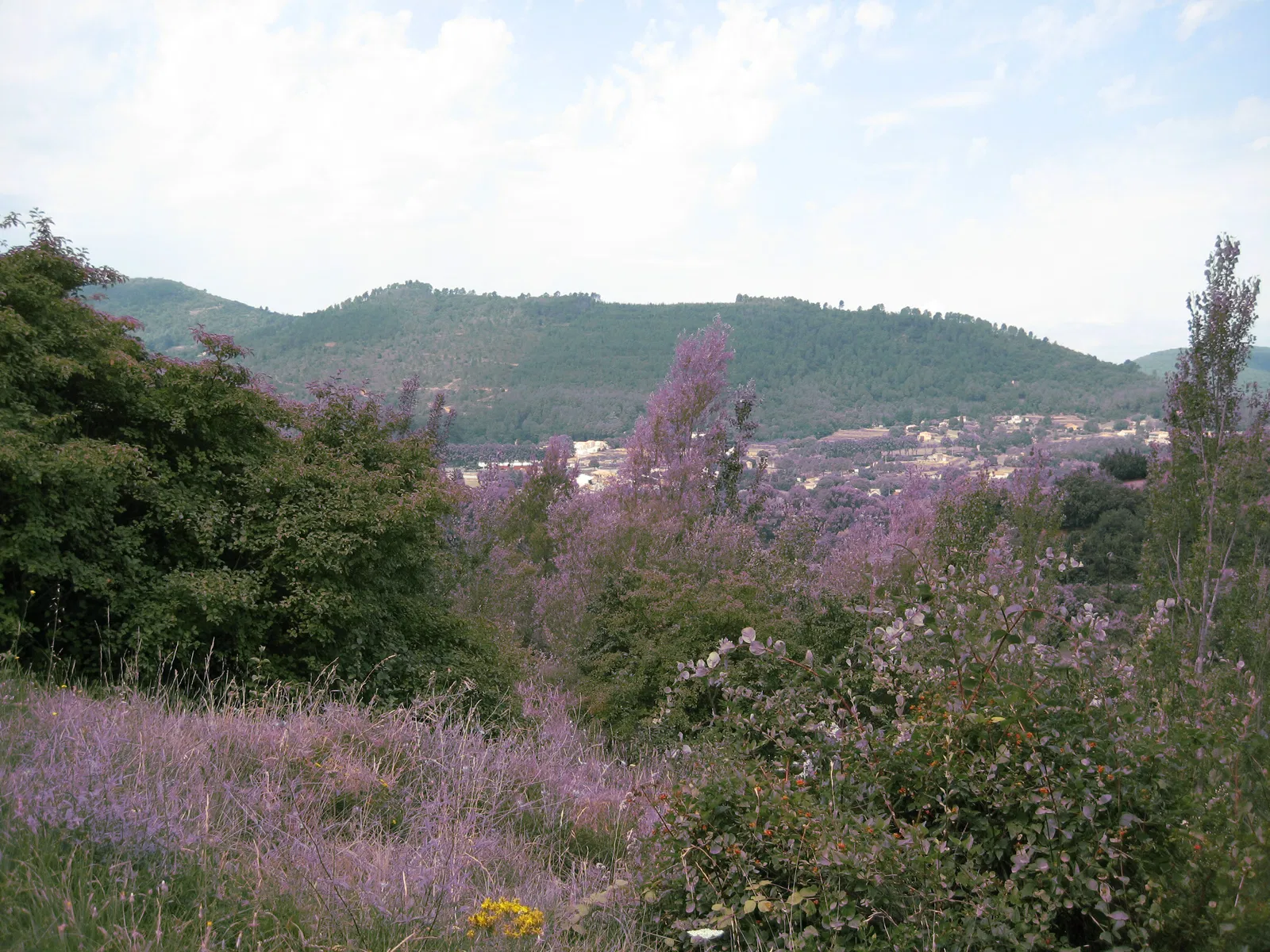 Appartement Route de Saint-Jean du Pin à Générargues