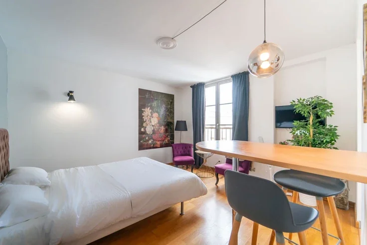 Flat Rue Buffon in Paris