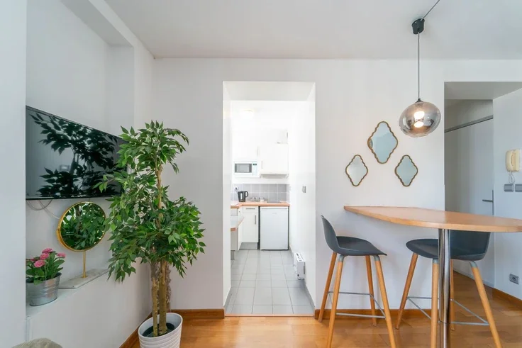 Flat Rue Buffon in Paris