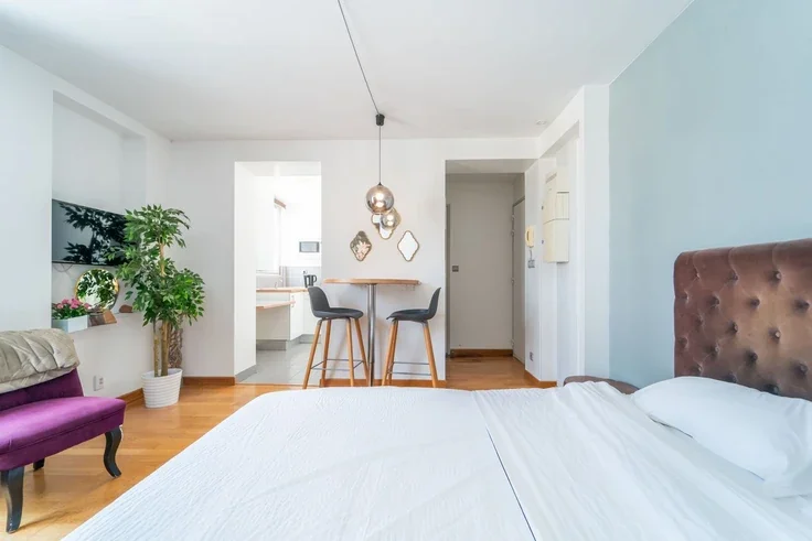 Flat Rue Buffon in Paris