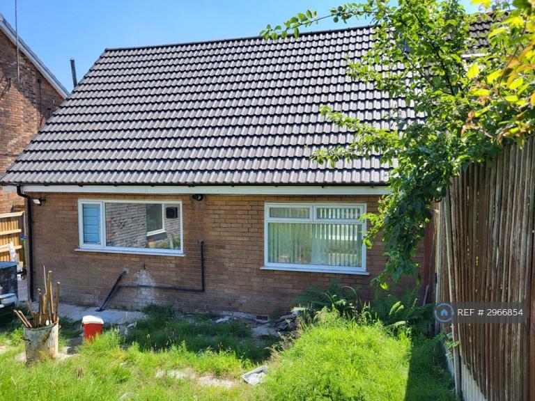 House Mountain Ash in Rochdale