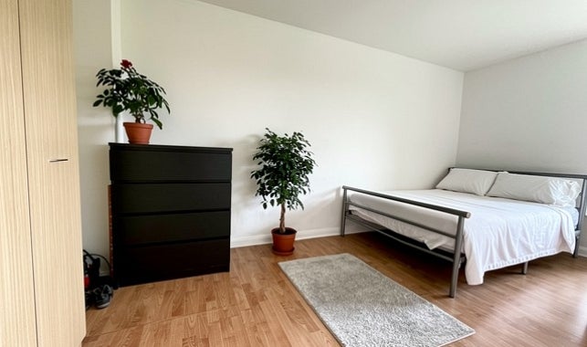 Flat Devonshire Lane in Sheffield