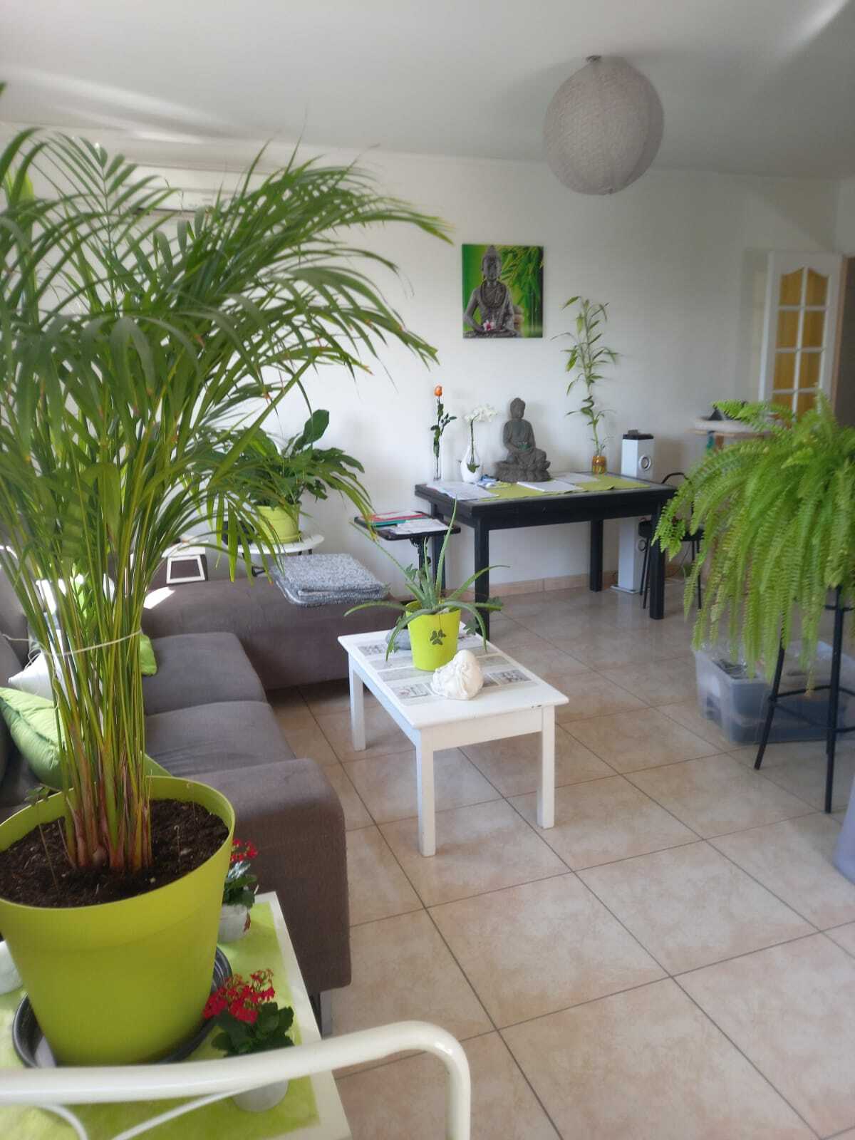 Appartement Avenue Jean Boccace à Avignon
