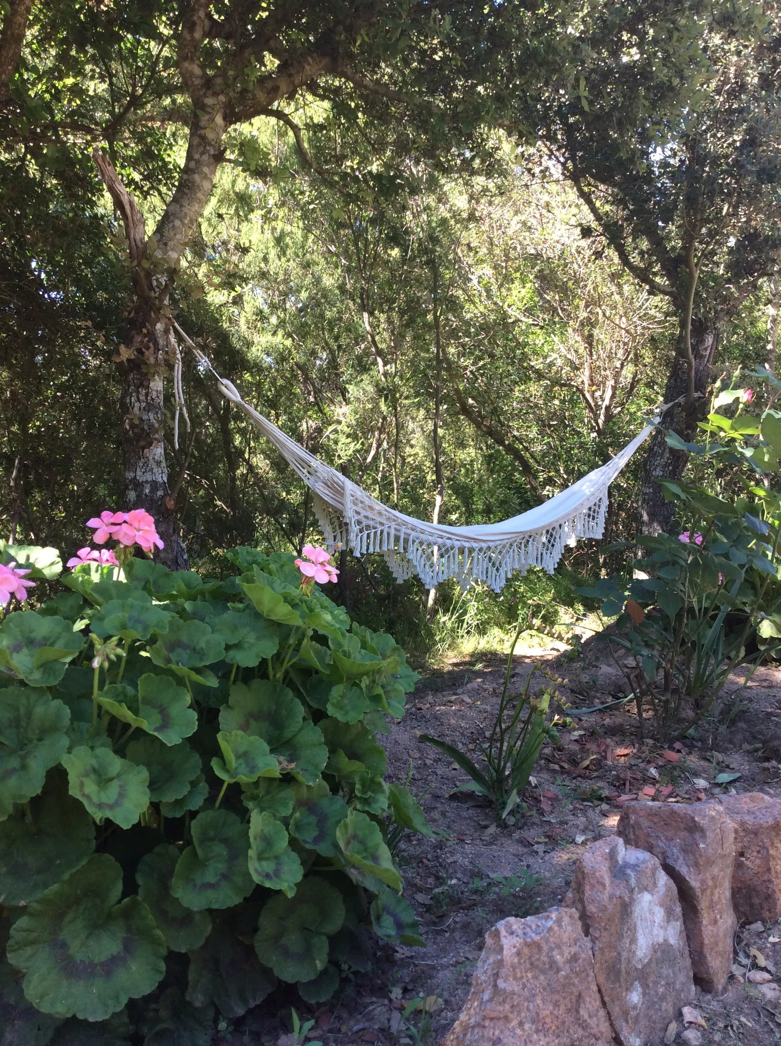 Appartement Striita di Murtetu Suttanu à Porto-Vecchio