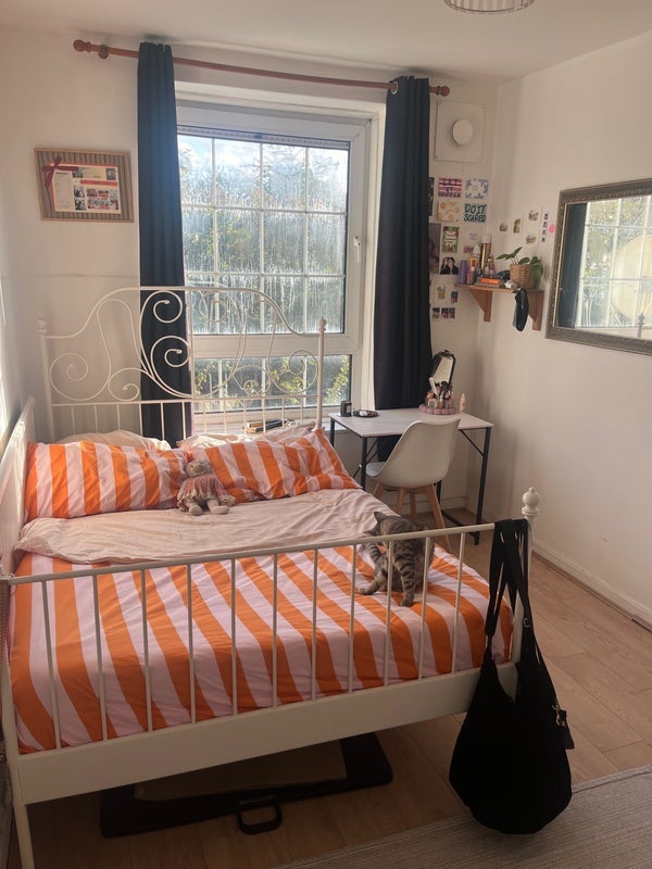Room Gill Street in Greater London