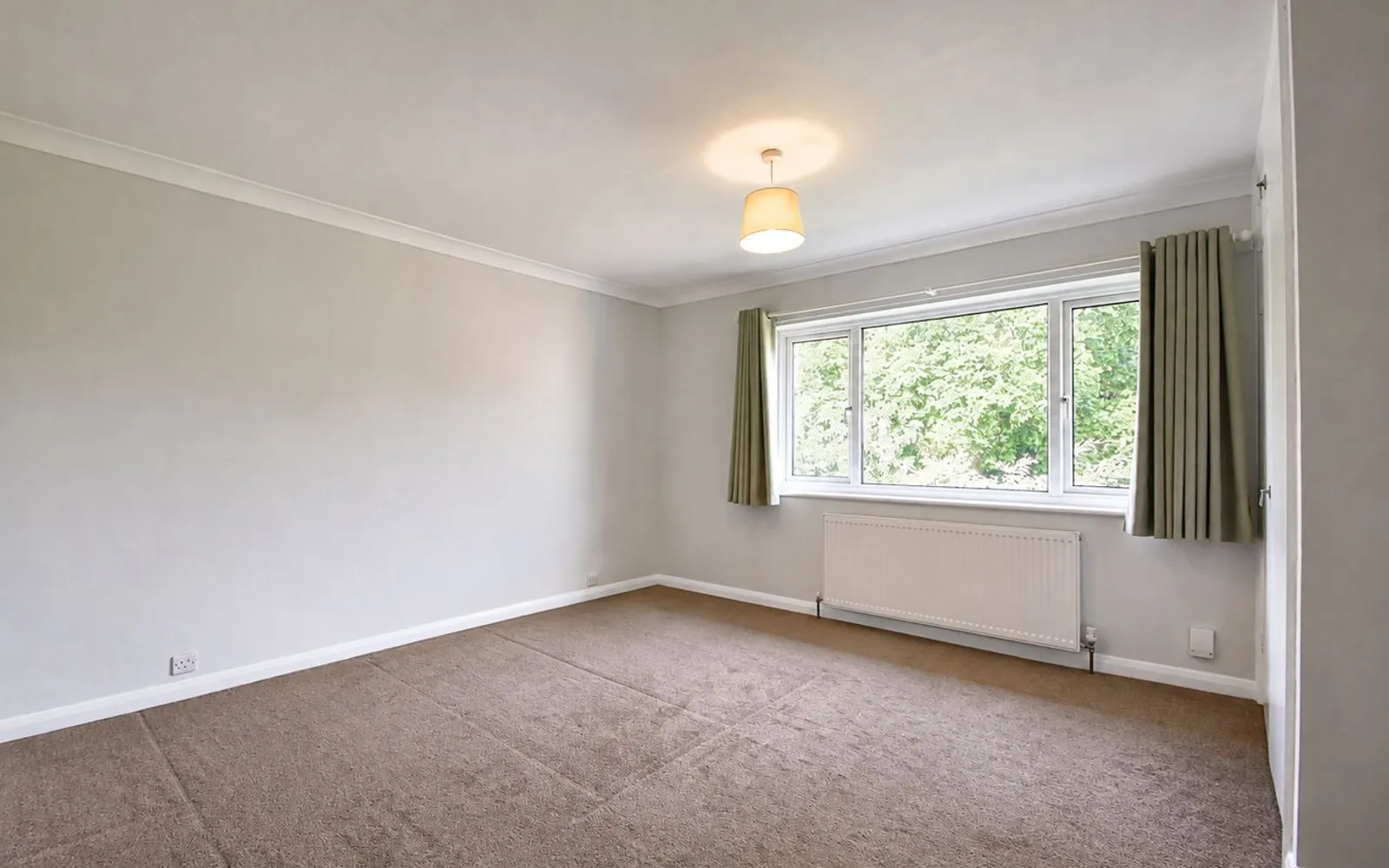 Flat Conifers in Elmbridge