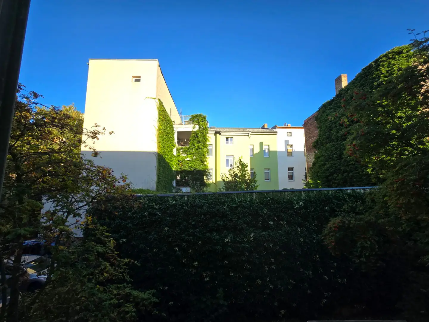 Wohnung Forsterstraße in Halle (Saale)