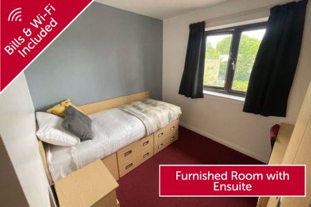 Room Histon Road in Cambridge