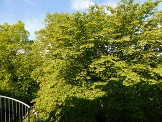 Wohnung Dasnöckel in Wuppertal