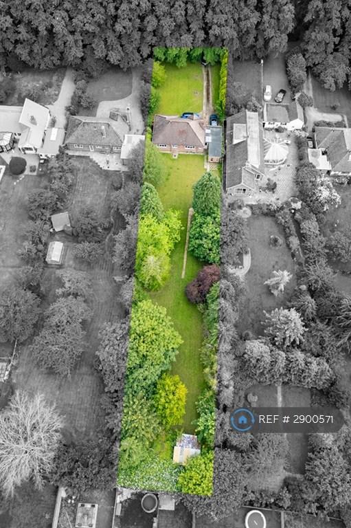 House Lime Tree Avenue in Rugby
