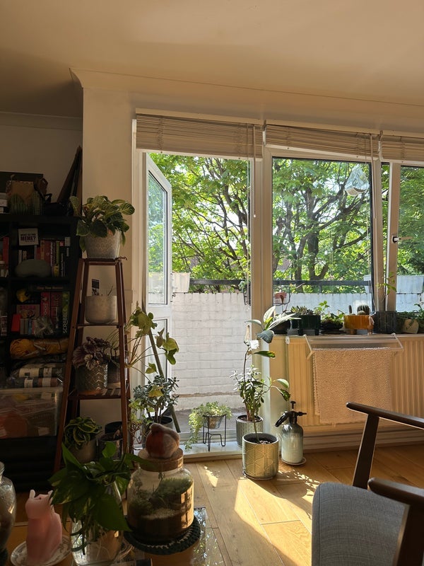 Room Bingfield Street in Greater London