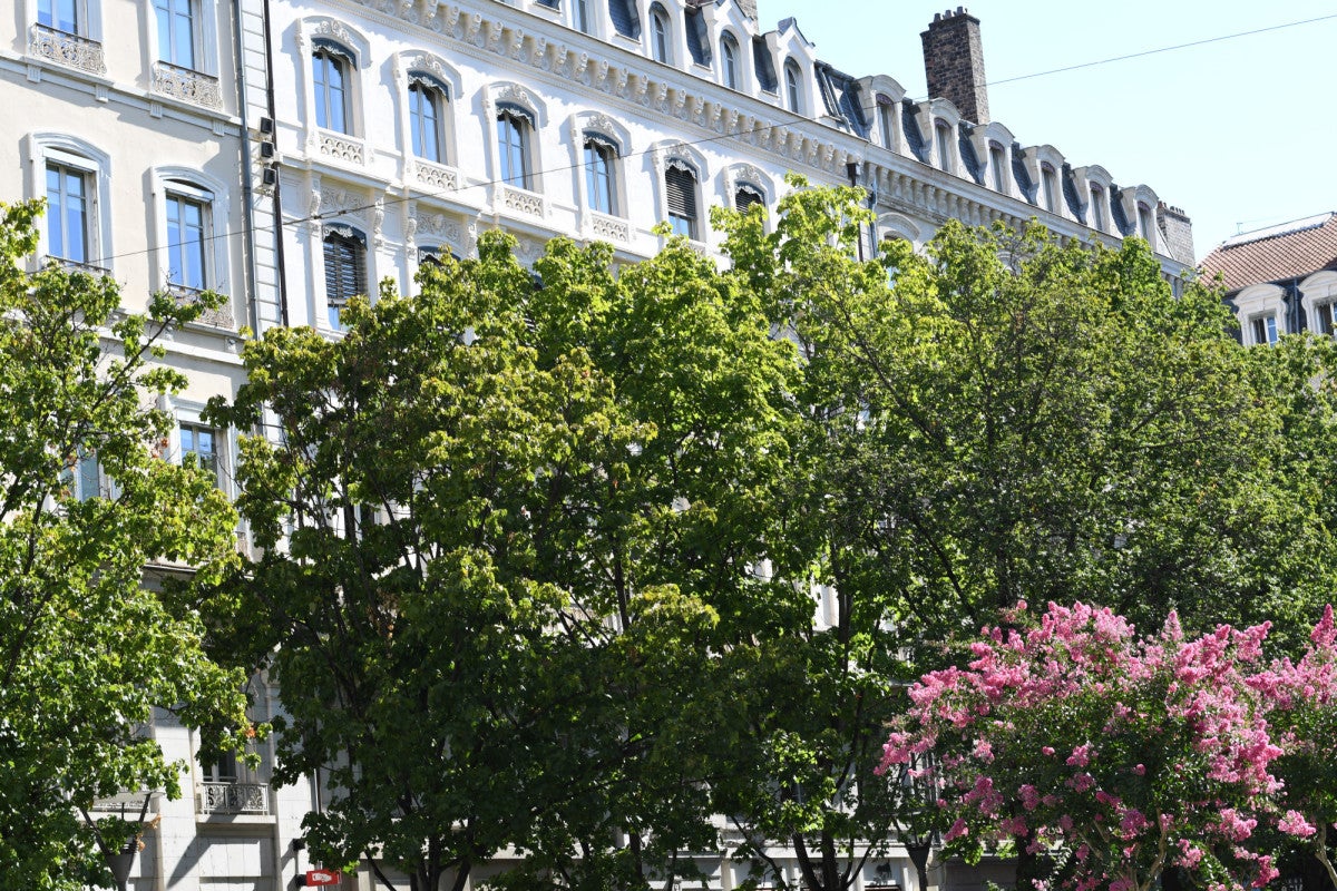 Room Place de la Bourse in Lyon