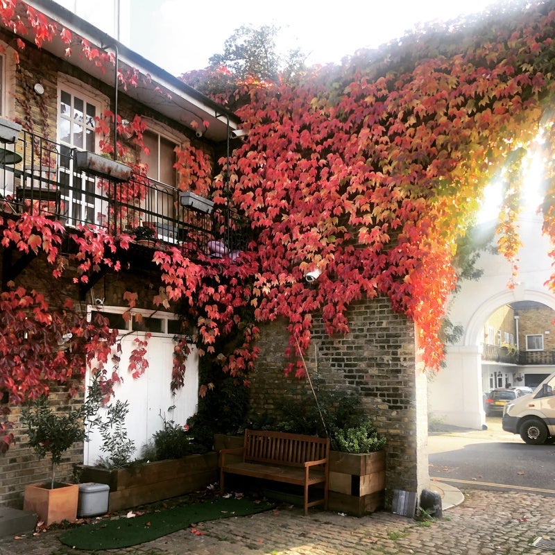 Room Steele's Mews North in Greater London