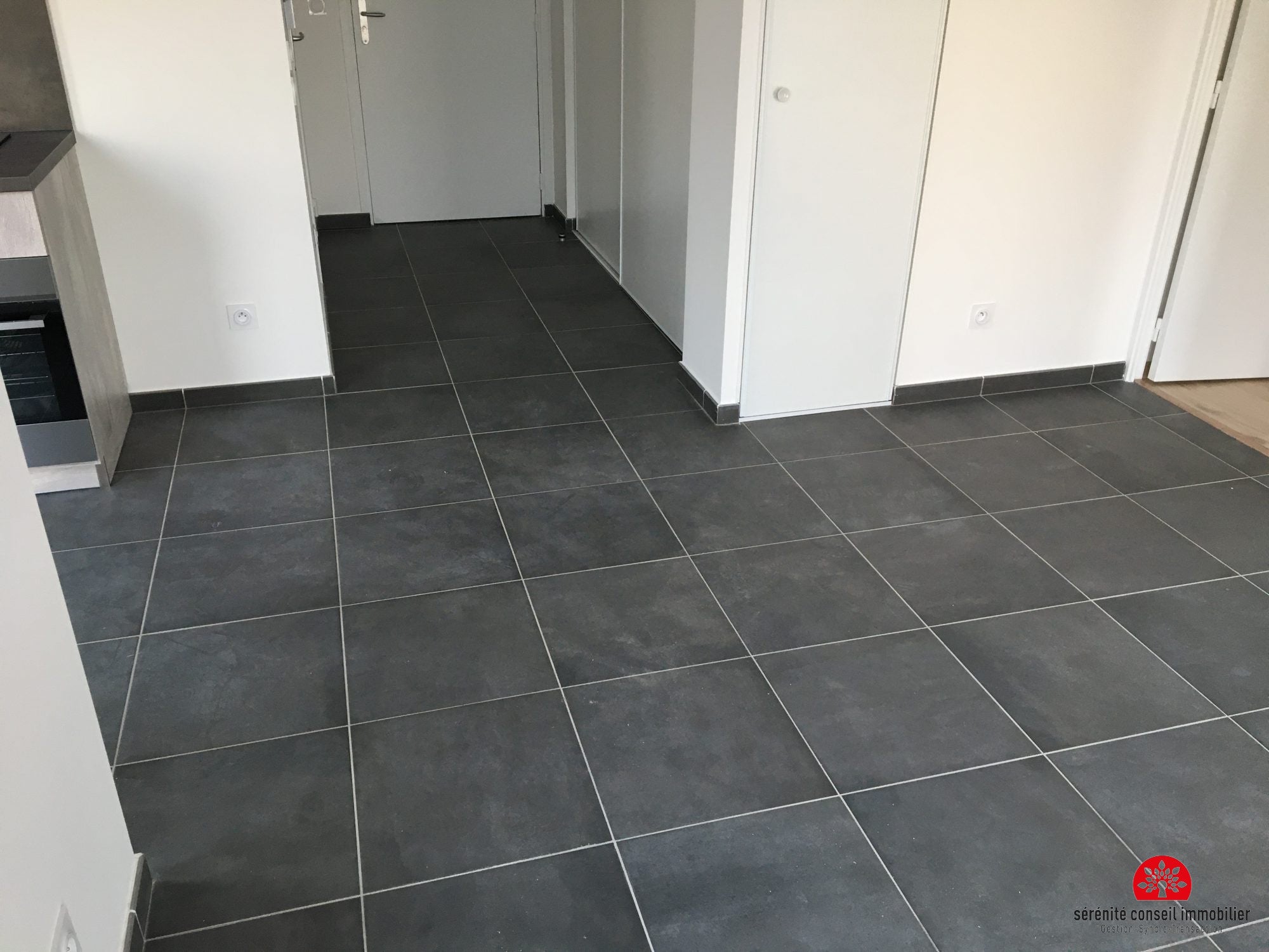 Appartement Avenue Paul Santy à Lyon