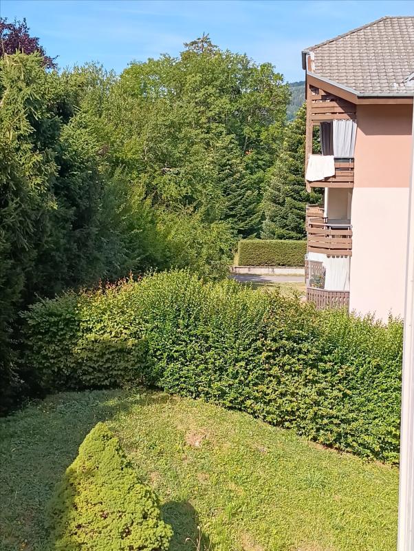 Appartement Route Valla Verda à Habère-Poche