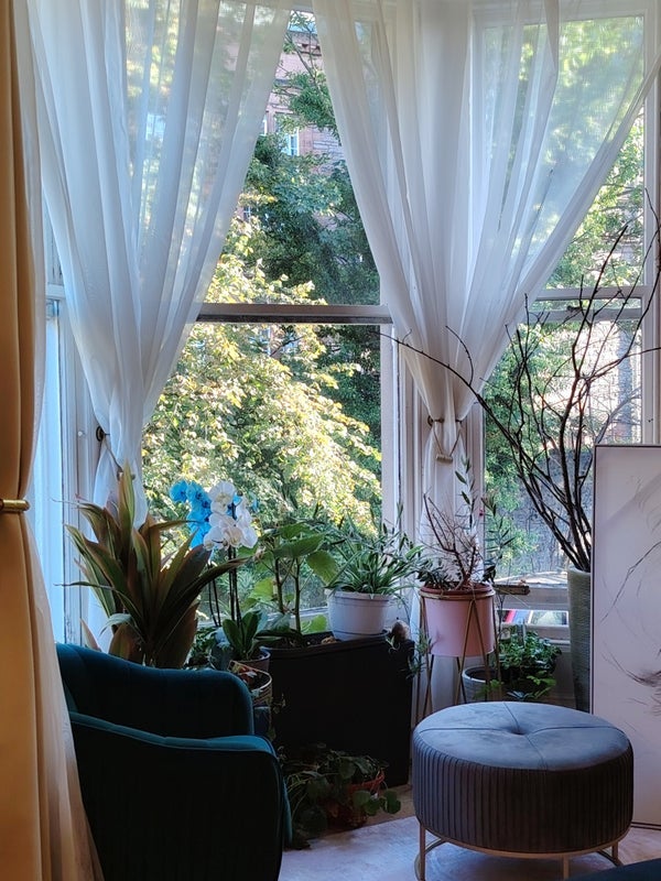 Room Hartington Gardens in City of Edinburgh
