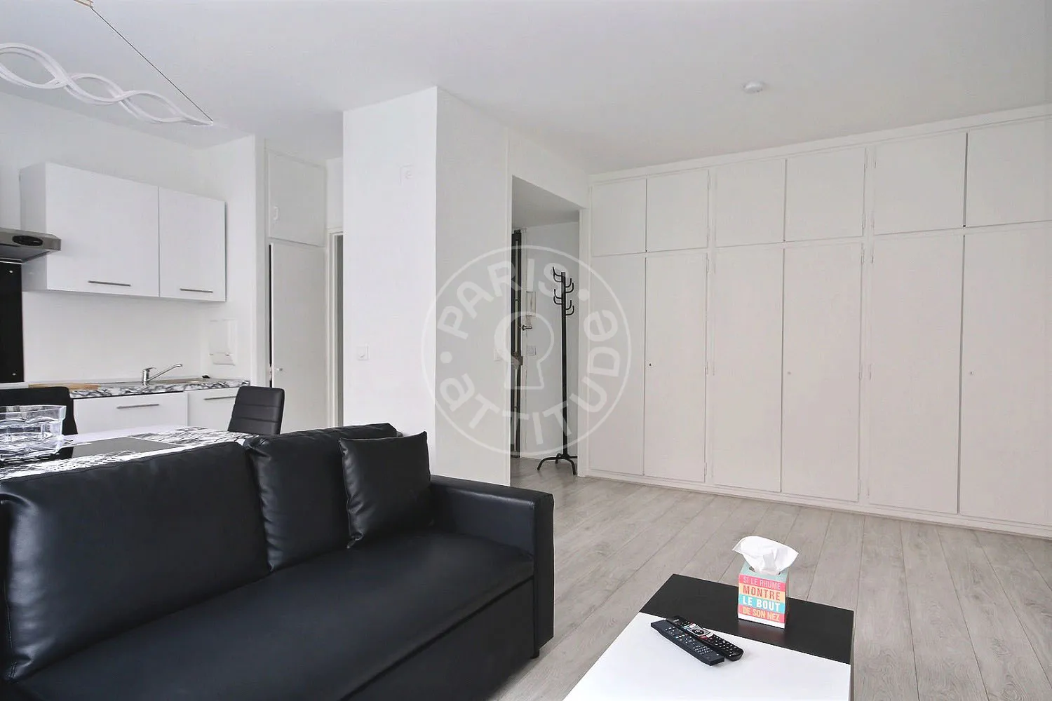 Flat Rue Laugier in Paris
