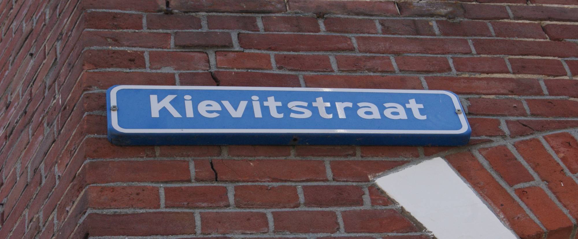 Kamer Kievitstraat 11