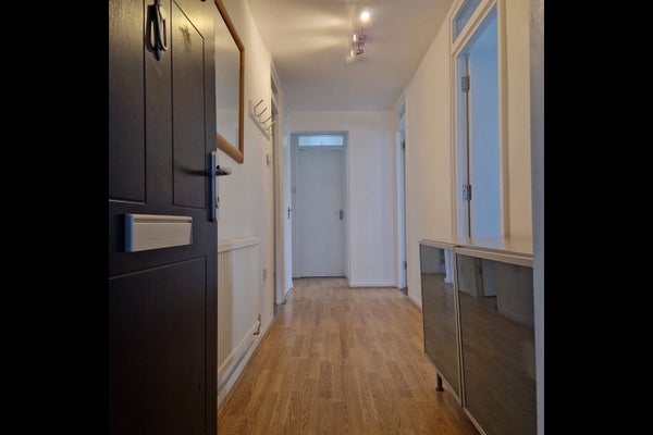 Flat Meadow Row in London