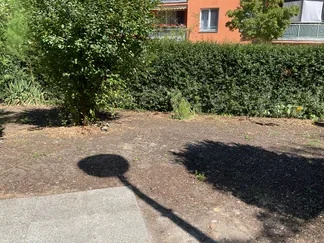 Wohnung Am Hirtengraben in Potsdam