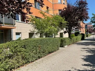 Wohnung Am Hirtengraben in Potsdam