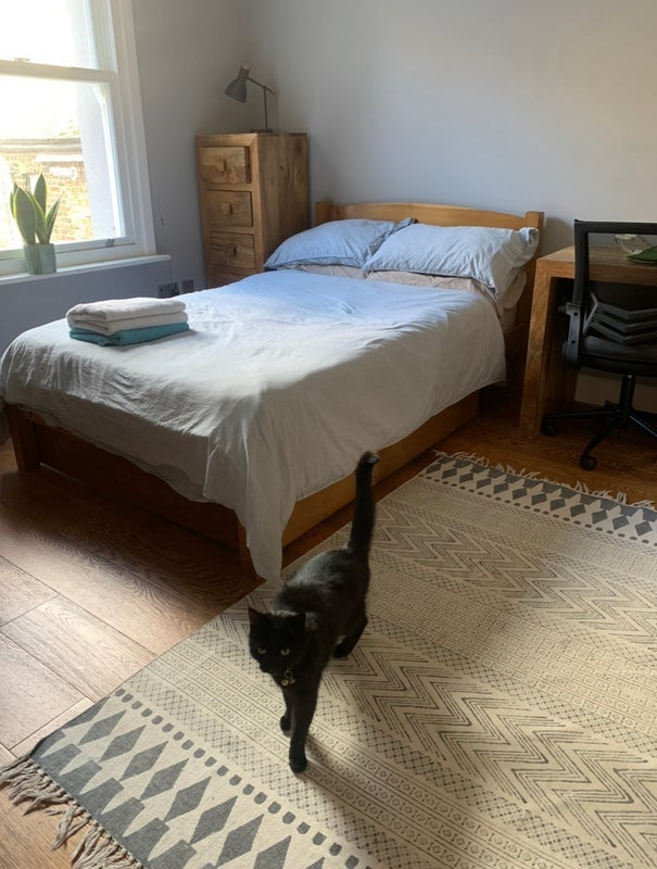 Room Warriner Gardens in Greater London