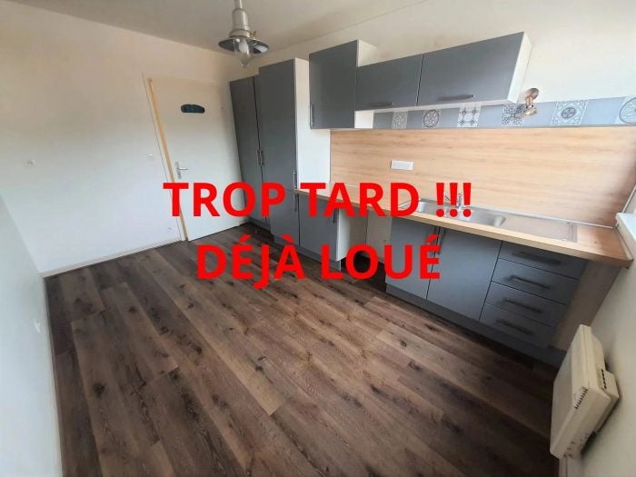 Flat Rue de Marienthal in Bischwiller