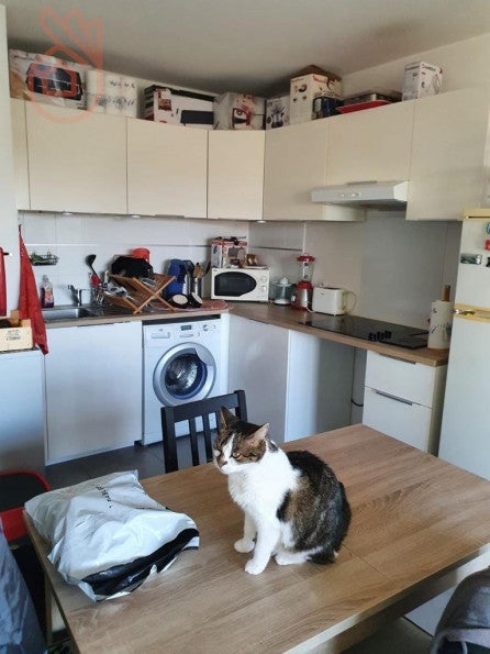 Appartement Chemin Pujibet à Toulouse
