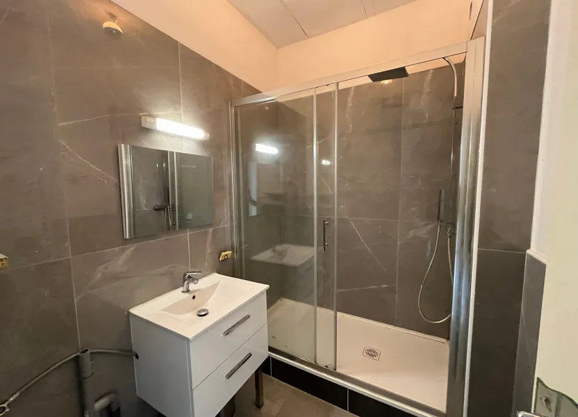 Appartement Cours Émile Zola à Villeurbanne