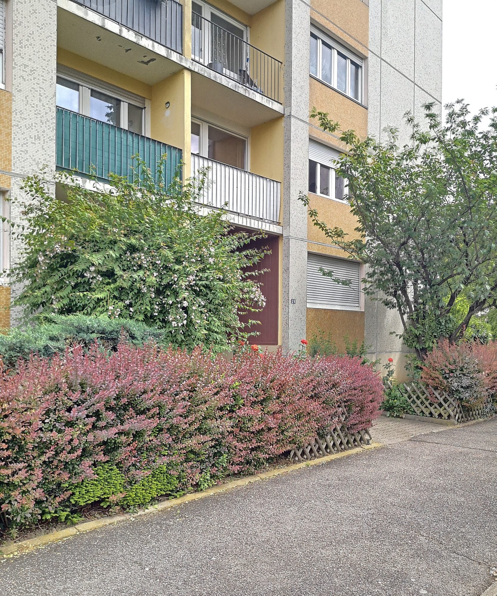 Flat Rue des Juifs in Richwiller