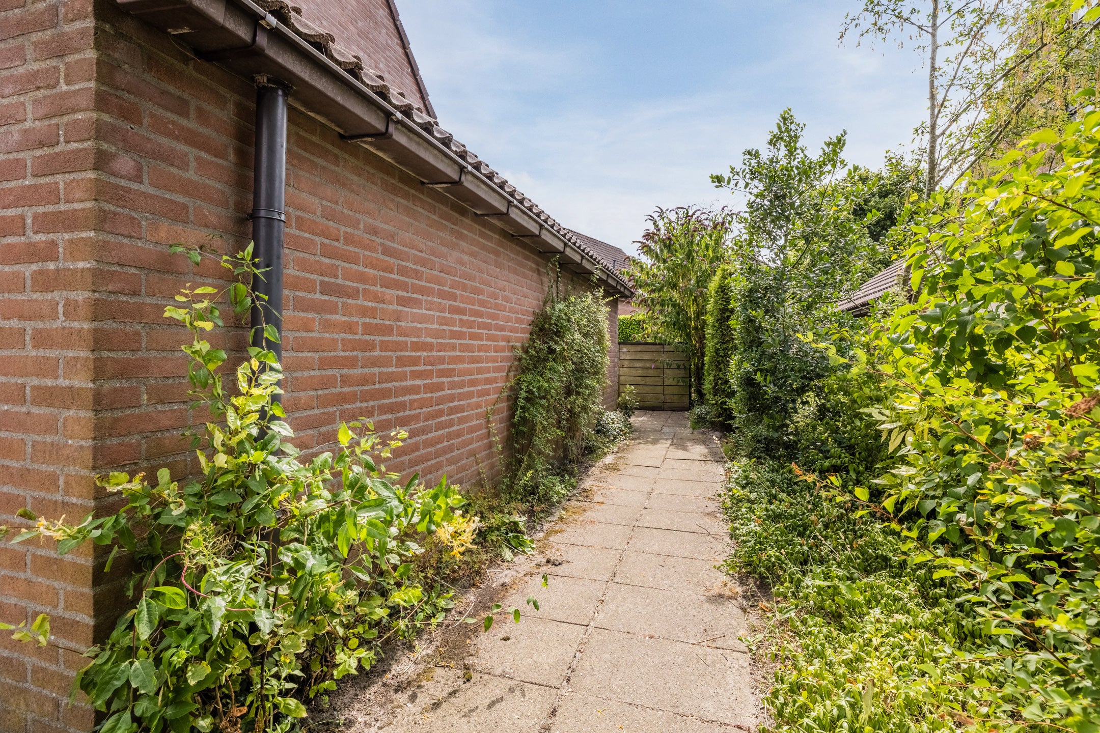 Huis De Holtmaden 3 in Hoogeveen