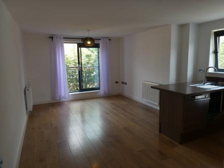 Flat Briar Road in Doncaster