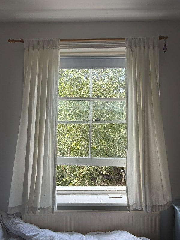 Room Ennismore Avenue in Greater London