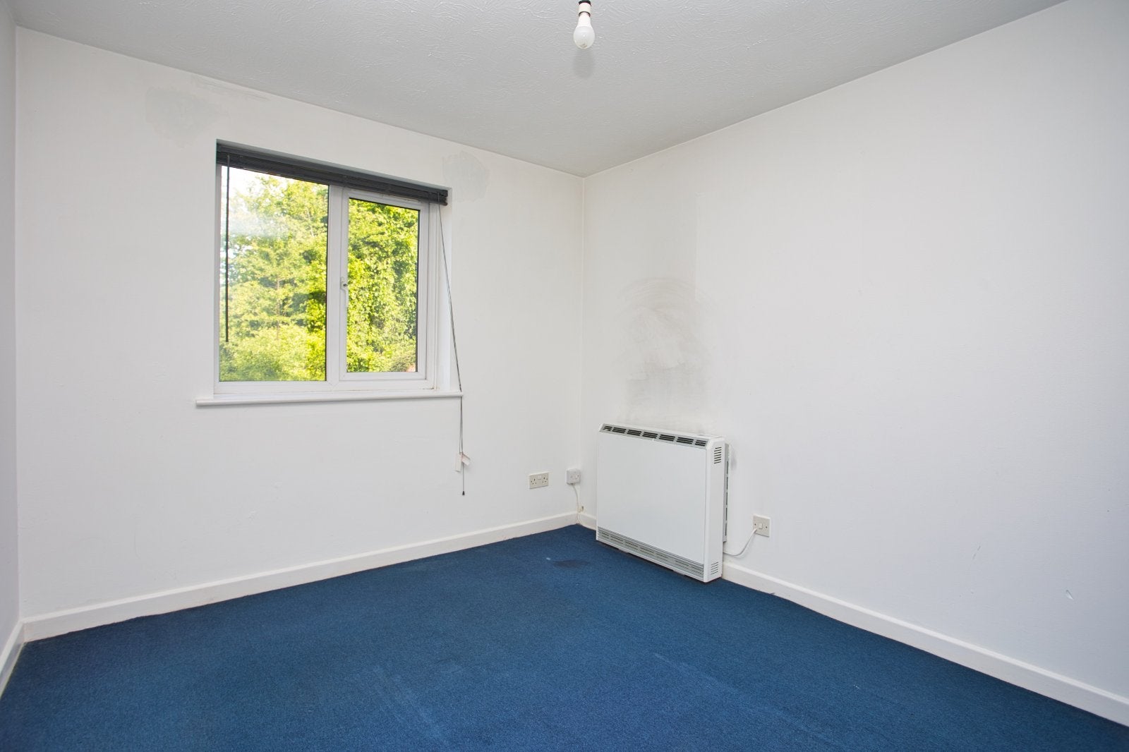 Flat Mayfield Avenue in Dover
