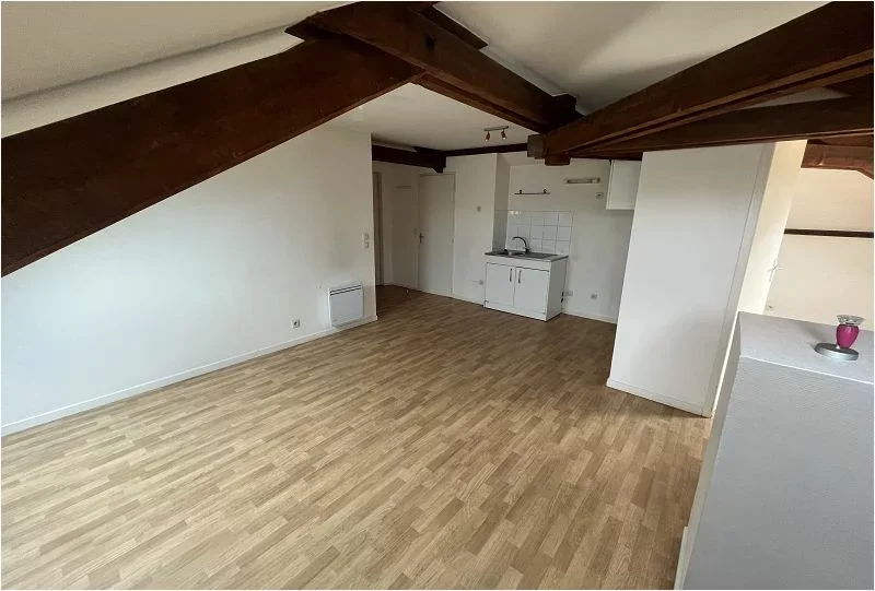 Flat Place du Château in Annecy