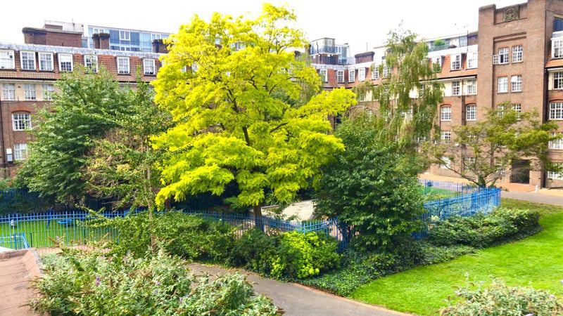 Flat Wenlock Road in Greater London