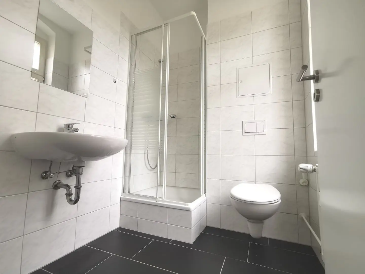 Wohnung Große Steinstraße in Halle (Saale)