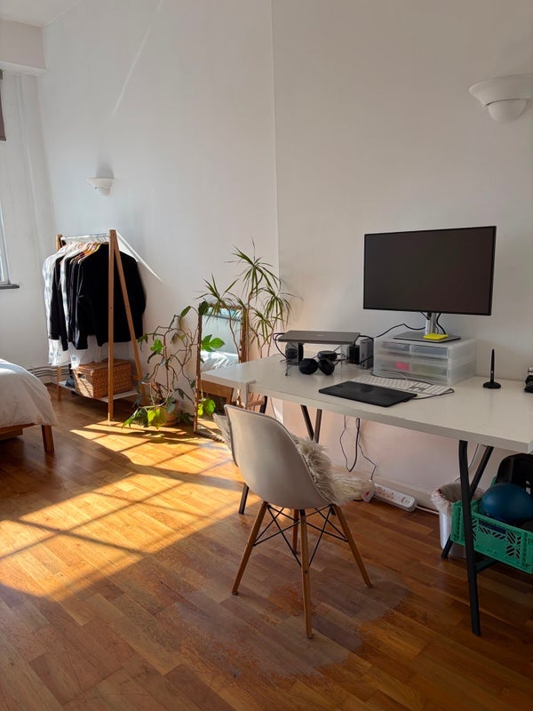 Room Shacklewell Row in Greater London