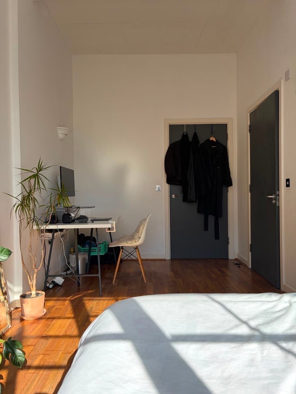 Room Shacklewell Row in Greater London